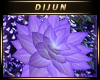 D.H. Purple Lotus L