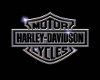 M Harley Davidson Jeanz