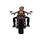 SOA Motorcycle 2