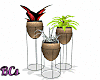 Potted PPlant Trio 2