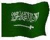 st.saudia flag
