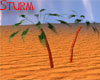 Desert Fan Palm V2