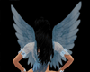 [AA]Wings Blue Angel
