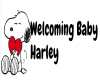welcoming harley
