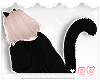 ♔ Kitty Coat Black