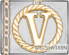 WV: Gold V Pendant