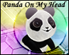 Panda on My Head