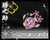 :KN Maezashi L