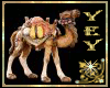 [YEY] Camello pesebre