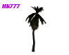 HB777 PL Ani Palm Tree