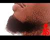 Dev Jay Beard