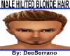 MALE HILITED BLONDE HAIR