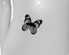 Belly butterfly