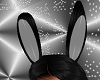 FG~ Bunny Ears