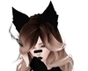 Black Fox Ears