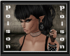|P| New Collar Silver/Bl