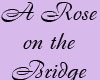 Rose on the Bridge