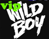 Wild BoY Stomp VIP