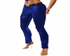 Shiney Blue Pants