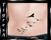 {K} Birds Belly tatto 2