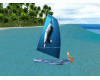 surf  dauphin animé