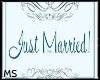 Just Married Banner 