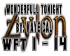 [ZY] Wonderfull Tonight