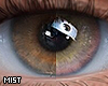 Two Colors Eyes V2