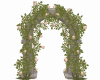 Roses Flowers Arch 2