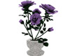 Purple Roses