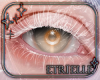Contractor Eyes v06