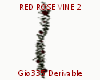 [Gi]RED ROSE VINE 2