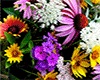 (LIR) Flowers 03.