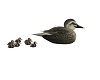 Patos animados