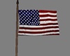 American Animated flag