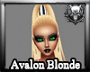 *M3M* Avalon Blonde