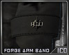 ICO Forge Arm Band