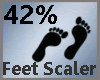 Feet Scale 42% M