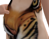 [AG] Tiger Skin
