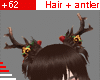 +62 Hair + Antler