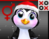 Crazy Penguin Buddy
