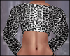 A Warm Winter Top
