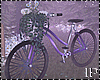 Spring Bicycle Couple