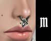 M. Septum