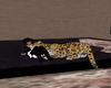 Leopard Cuddle