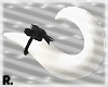 ᖇ. Dog Bow Tail