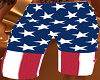 American long trunks