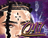 𝑀7/ zigzag locs