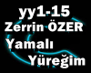 *C*Zerrin Ozer