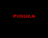 Pigula 1